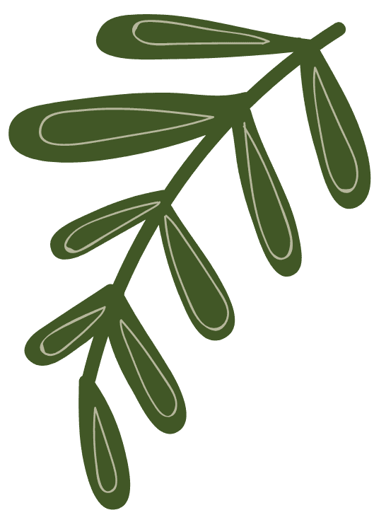 Nguyễn Thị Quỳnh Nhi
